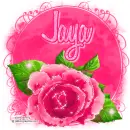 Jaya