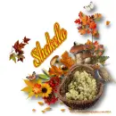 Shakela - Bird - Grapes