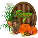 Tonya - Pumpkins - Fall