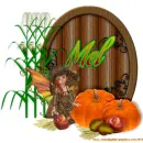Mel - Pumpkins - Fall