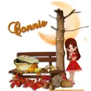 Connie - Leaves - Tree - Bench