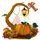 Jessi - Pumpkin - Light