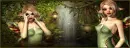 Fairy Woods