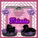 Melanie -Friendship is...