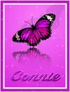 Connie