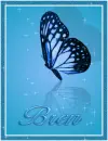 Bren