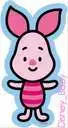 baby piglet