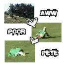 The wierd side of Pete