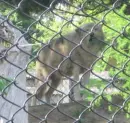 I see you!