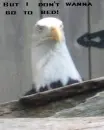 Don't wanna go