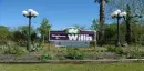 willis tx 