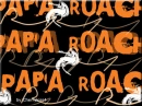 Paparoche 
