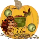 ELIA