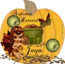 JAYA