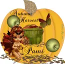 PAMI