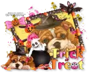 Trick or Treat