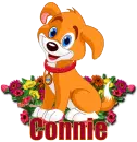 Connie