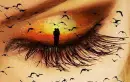 eye