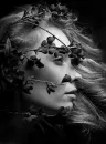 face
