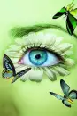 eye