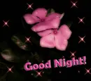 Good Night