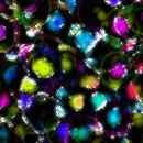 Colorful - background
