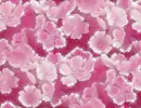 Flowers - background