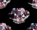 Hearts - background