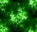 Green trees - background - fg