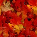 Autumn Fall leaves - background