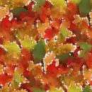 Autumn fall leaves - background