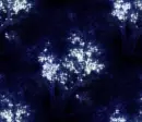 Trees - background