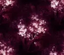 Trees - background