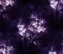 Trees - background