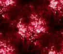 Trees - background
