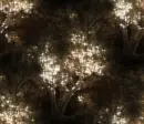Trees - background