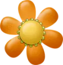 Orange Daisy