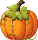 Pumpkin