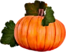 Pumpkin