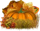 Pumpkins