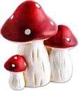 Mushrooms