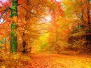 Fall 