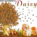 Daisy
