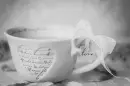 Tea Love