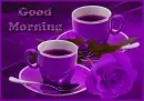 Good Morning 