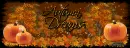 Autumn Dreams