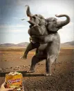 Heimlich Maneuver