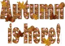 AUTUMN IS HERE