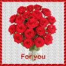 Red roses
