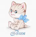 Bren Kitten cute